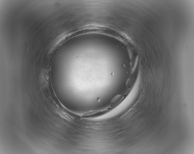 X0000065261355200602171443