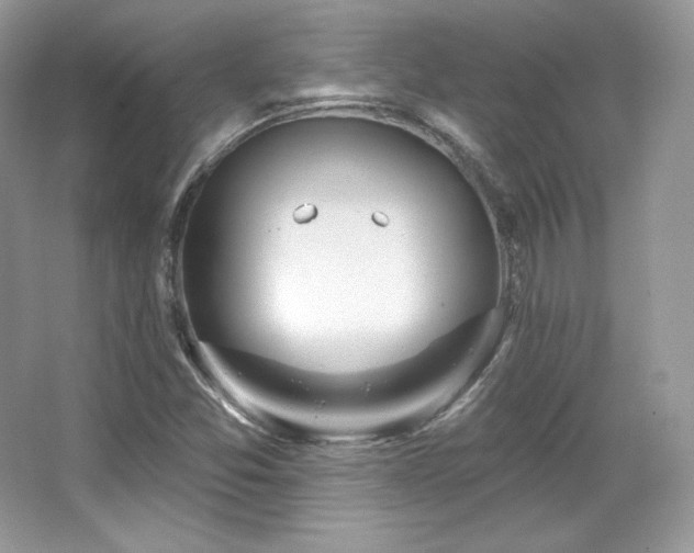 X0000065261357200602171443