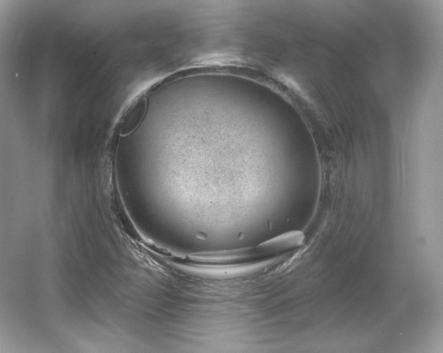 X0000065261358200602171443