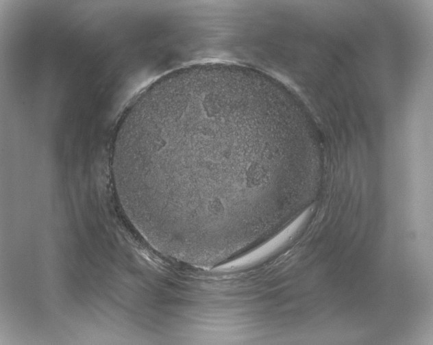 X0000065261359200602171443