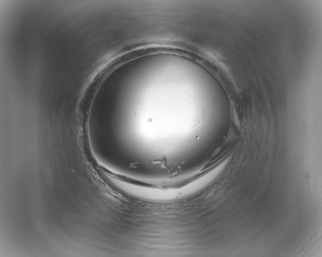 X0000065261360200602171443