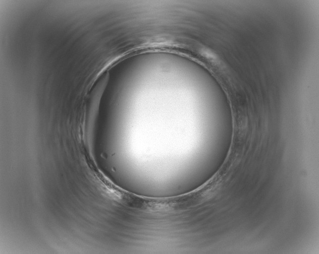 X0000065261361200602171443