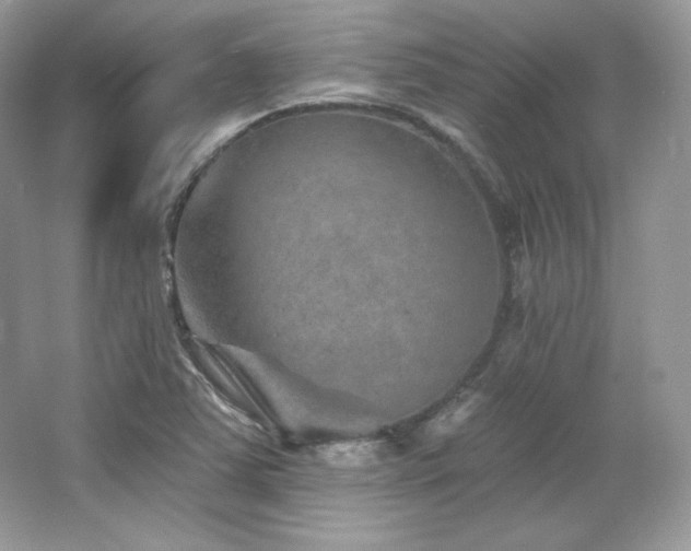 X0000065261363200602171443