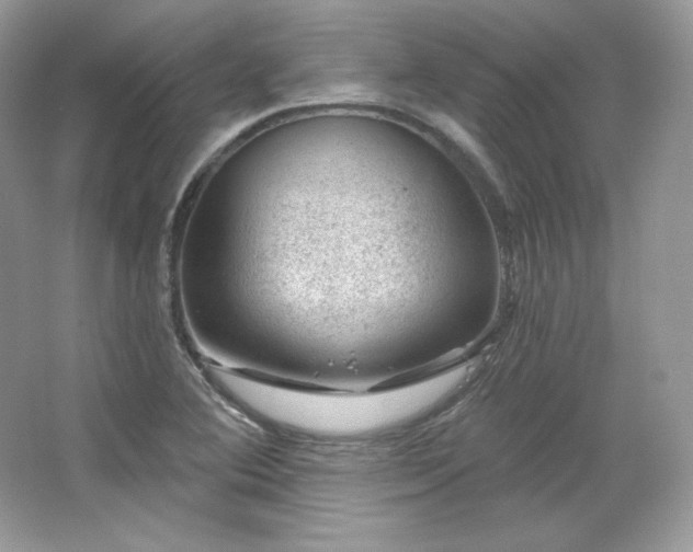 X0000065261364200602171443