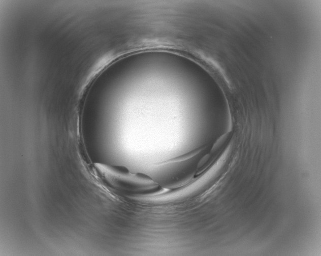 X0000065261365200602171443