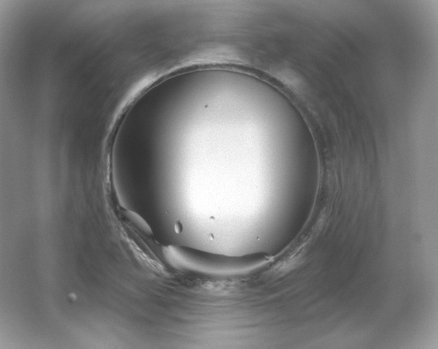 X0000065261366200602171443