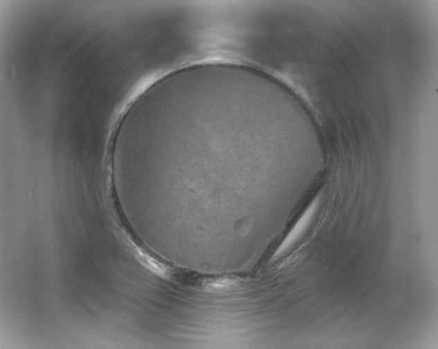 X0000065261367200602171443