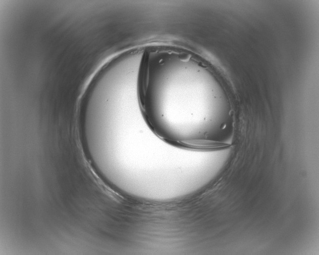 X0000065261368200602171443