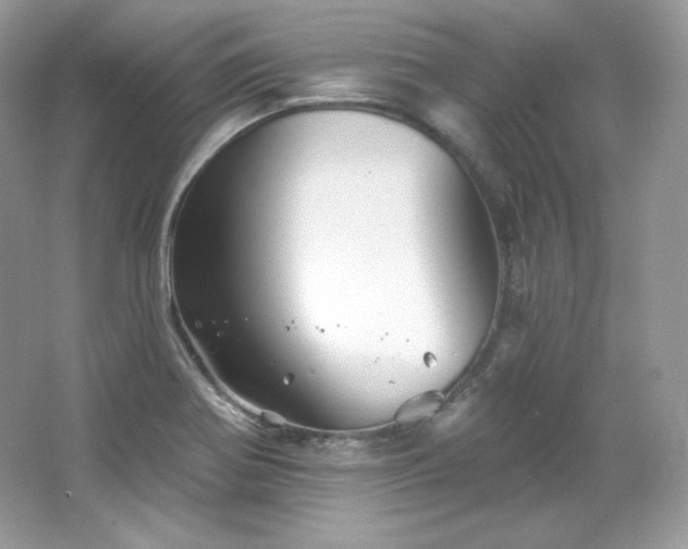 X0000065261370200602171443