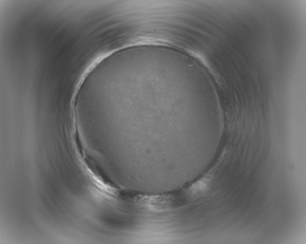 X0000065261371200602171443