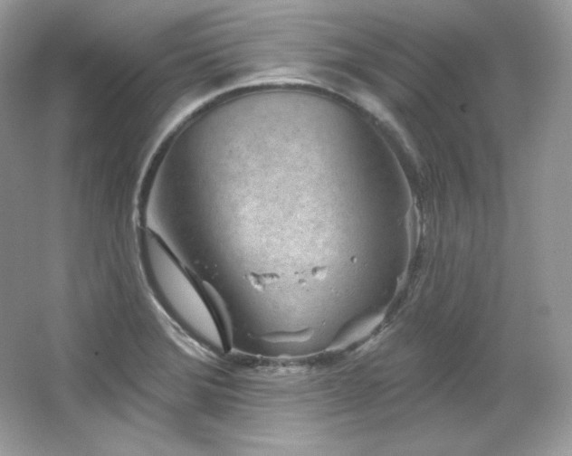 X0000065261372200602171443