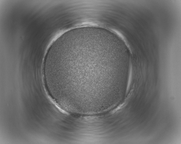 X0000065261373200602171443