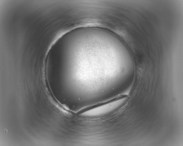 X0000065261374200602171443