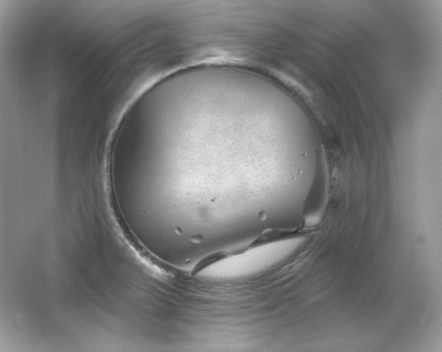 X0000065261375200602171443