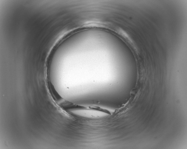 X0000065261376200602171443