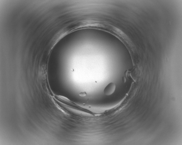 X0000065261377200602171443