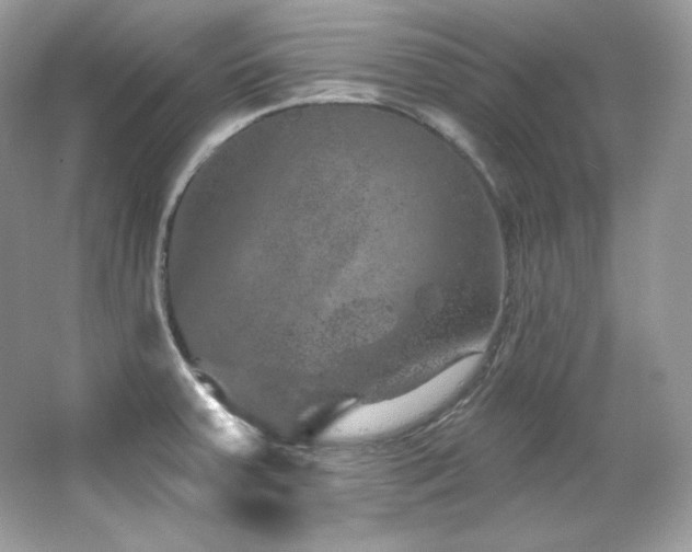 X0000065261379200602171443