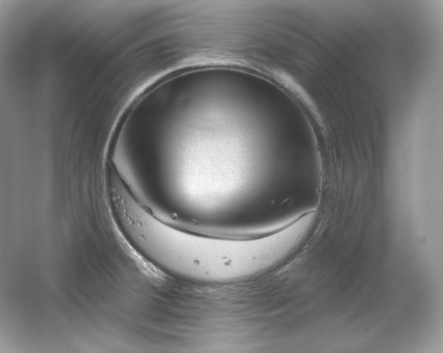 X0000065261380200602171443