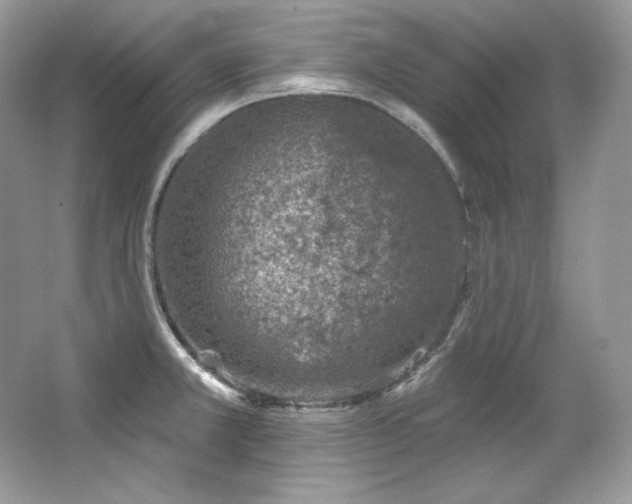 X0000065261381200602171443