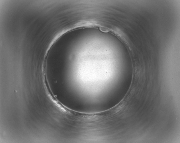 X0000065261382200602171443