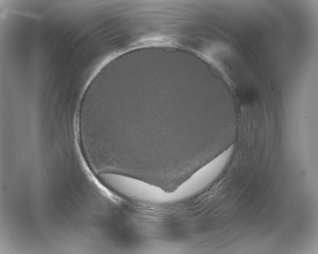 X0000065261383200602171443