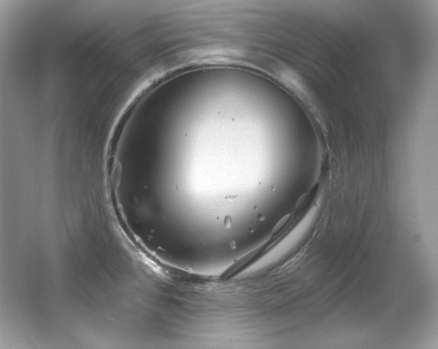 X0000065261384200602171443