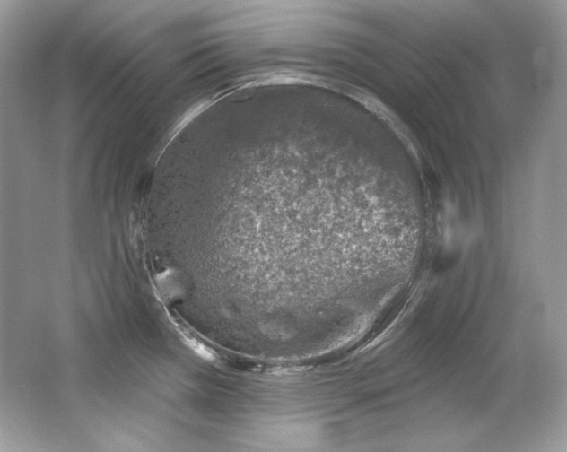 X0000065261385200602171443