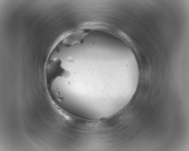 X0000065261386200602171443