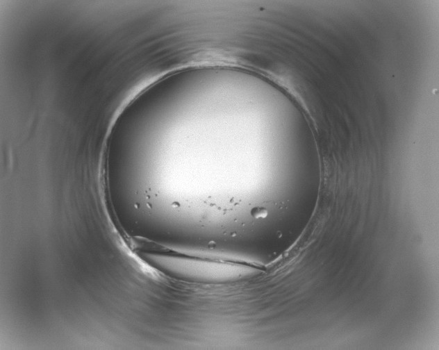 X0000065261387200602171443