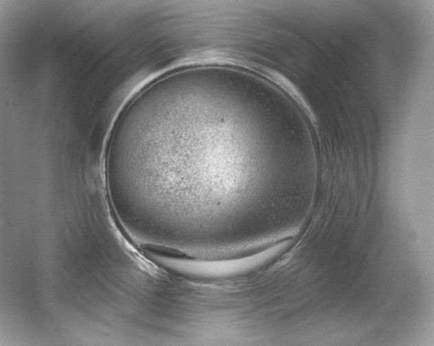 X0000065261388200602171443