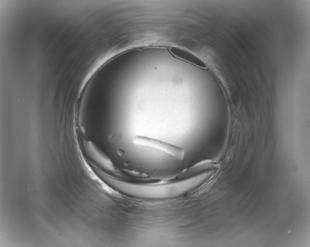 X0000065261390200602171443