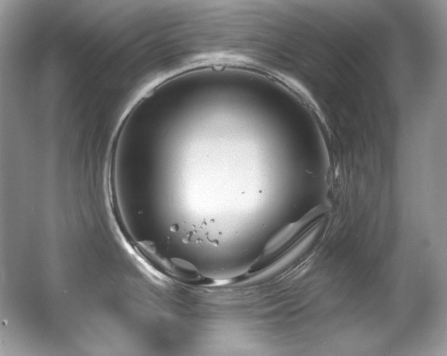 X0000065261391200602171443