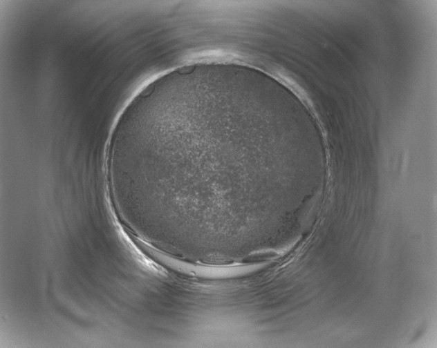 X0000065261392200602171443