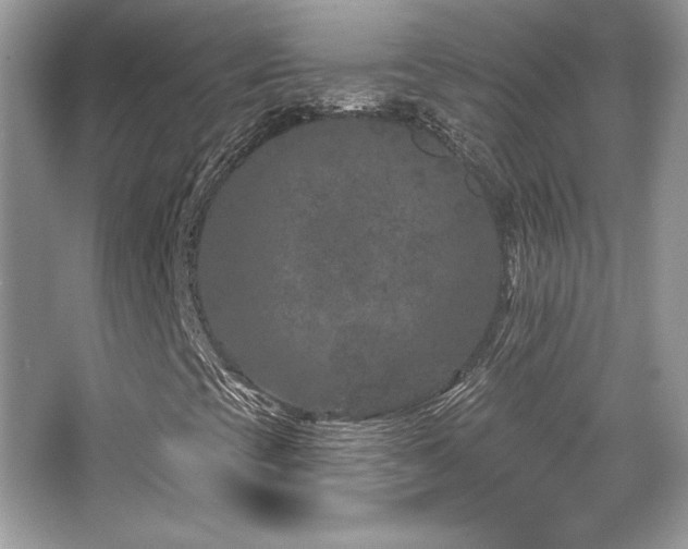 X0000065261393200602171442