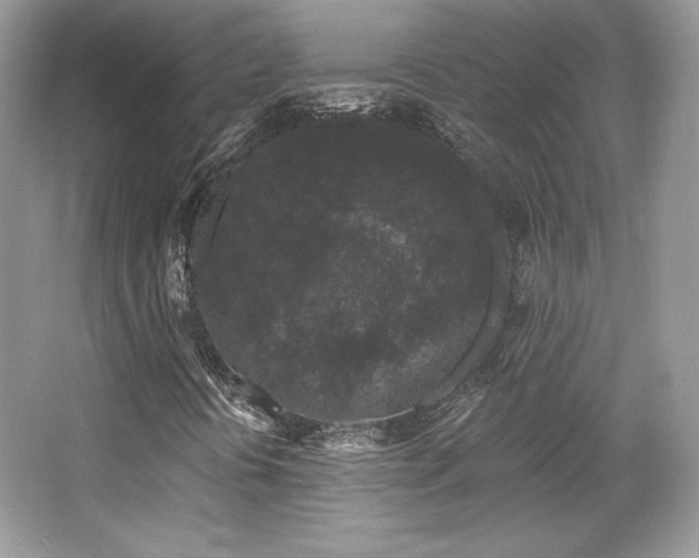 X0000065261394200602171442