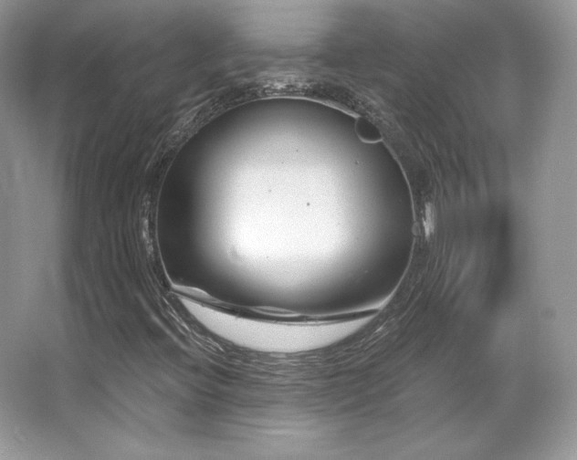 X0000065261396200602171442