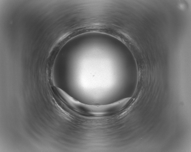 X0000065261402200602171442