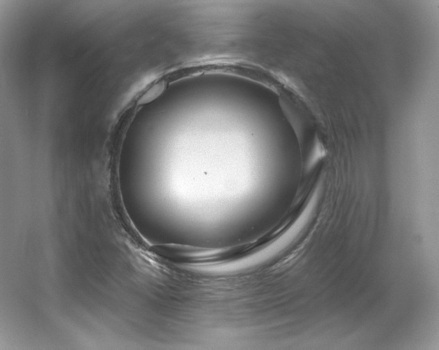 X0000065261406200602171442