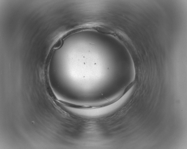 X0000065261412200602171442