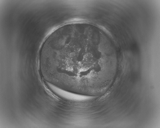 X0000065261413200602171442