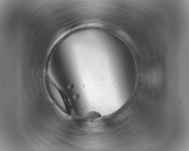 X0000065261420200602171442