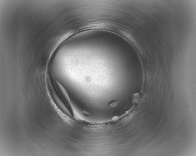 X0000065261426200602171442