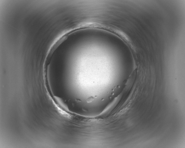 X0000065261430200602171442