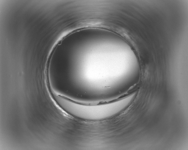 X0000065261432200602171443