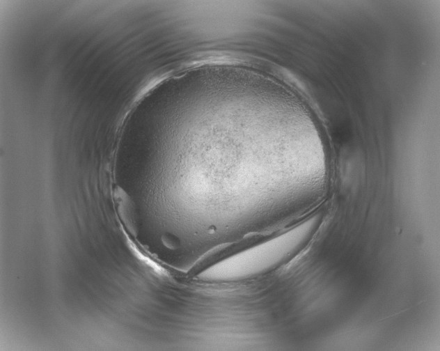 X0000065261433200602171443