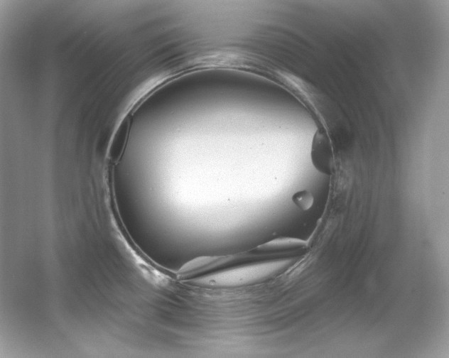 X0000065261434200602171443