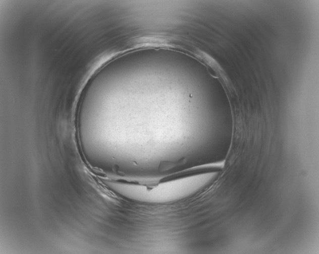 X0000065261435200602171443