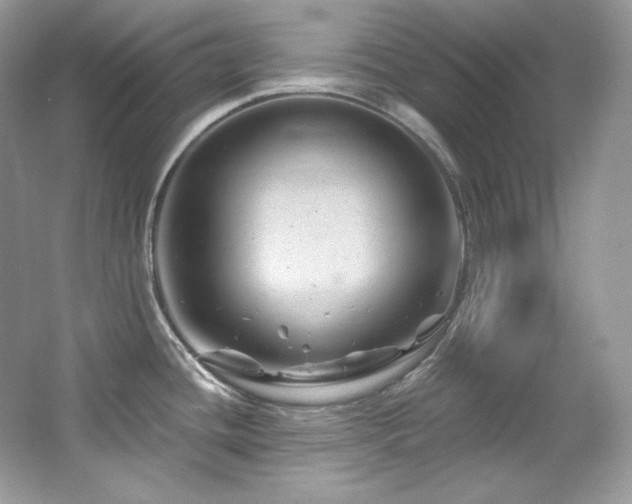 X0000065261436200602171443