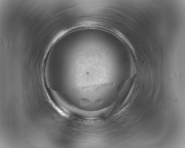 X0000065261437200602171443