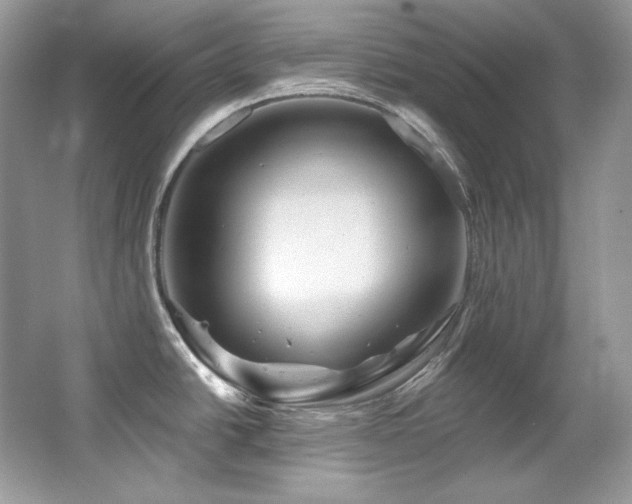 X0000065261438200602171443